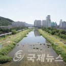 안양천 이미지