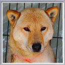 달아실 농원 이미지