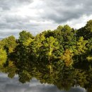 민생 행정사사무소 이미지