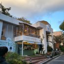 덕풍근린공원 제3공영주차장 B1층 | 안양 예술공원 늦게까지 하는 브런치 카페, 양식 맛집 [사이숲] 내돈내산 후기, 애견동반, 유아의자O...