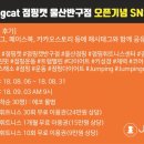 점핑캣반구점 | 점핑캣 반구점 오픈 이벤트