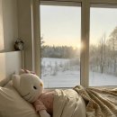 [9/27] 심리극 속 나를 찾는 여행 : 나를 또 다시 외치다 | 뒤늦은 교환 후기 (9)