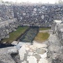 일과리-1 이미지