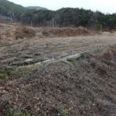 아영면 아곡마을 이미지