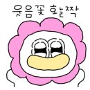 멕시카나치킨자양