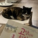 영신안경 이미지