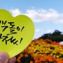 청하이스턴CC 이미지