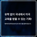 하버드유치원 | 켄트외국인학교 후기부터 학비·입학조건·진학률까지 총정리 (2025 최신판)