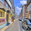 삼덕애견 이미지