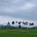 미르피아오토캠핑장 | 밀양아리랑오토캠핑장(미르피아오토캠핑장) 후기