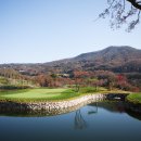 360도CC Daum카페