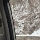 우산 게임장 | 무주 덕유산리조트 눈썰매장 어린이나라 스키장 개장 위치 주차 겨울 액티비티