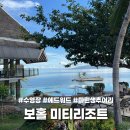 보홀 미티리조트 마린생츄어리, 수영장, 해변에서 에드워드 만난 썰