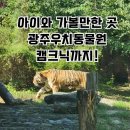 광주광역시 우치동물원 동물병원 | [광주]🌿 우치동물원, 명절 연휴 아이와 함께 가볼만한 곳 후기