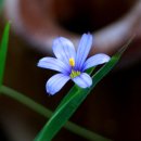 들꽃산장 이미지