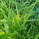 갈곡마을회관 이미지