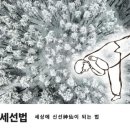 정이만물 네이버블로그