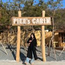 기산피드 | 양주 | 산장 컨셉의 대형카페 미트파이맛집 후기