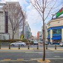 지혜당약국 이미지