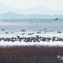 최용진 농장 이미지