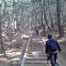 팔공산올레길 7코스 Daum카페