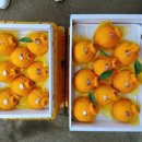 시은이네 농장 이미지