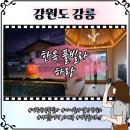 챠챠래쉬 | 강릉 BTS정류장 한옥풀빌라 하랑 감성숙소 아이와가볼만한 프라이빗펜션