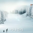 위골프 이데일리