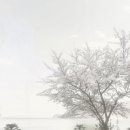 봄과가을이 이미지