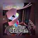 짐엑스 신사시장점 | 속초가볼만한곳 뮤지엄엑스 올데이 속초패스 할인 짐보관 주차