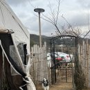 경주 애견동반 독채 펜션 스페이스놀 노을채 1박 후기