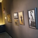 용하체육관 이미지