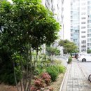 e그린공인중개사사무소 이미지