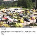 [강원도 캠핑장] 웰리힐리파크캠핑장 추천&amp; 웰리힐리 근처 맛집 웅이네