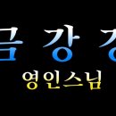 금강경 영인스님 독경 4K 고음질 이미지