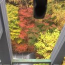 스토리방방23 이미지