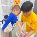 초롱태권도장 이미지