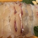 국도6호선 | 산본역 숙성회가 맛있는 마시따통영 내돈내산 후기