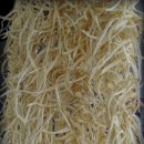 서영농장 이미지