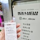 엘리스스튜디오 | [수원] 영통 속눈썹펌 잘하는 곳 엘리스스튜디오 엘리스뷰티샵 늘상뷰티 솔직 후기