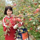 정병수농장 이미지