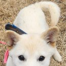 영해초등학교후문 이미지