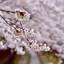 로망스Ⅱ 이미지