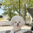 아날로그데이 이미지