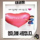 늘행복태권도장 이미지