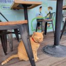 GS25 분당정자점 이미지