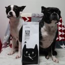 바른통상 이미지