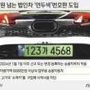 법인차량엔 '연두색 번호판'...차량가액 8000만원 이상 이미지