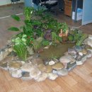 생태연못 이미지