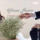 프롬에스플라워